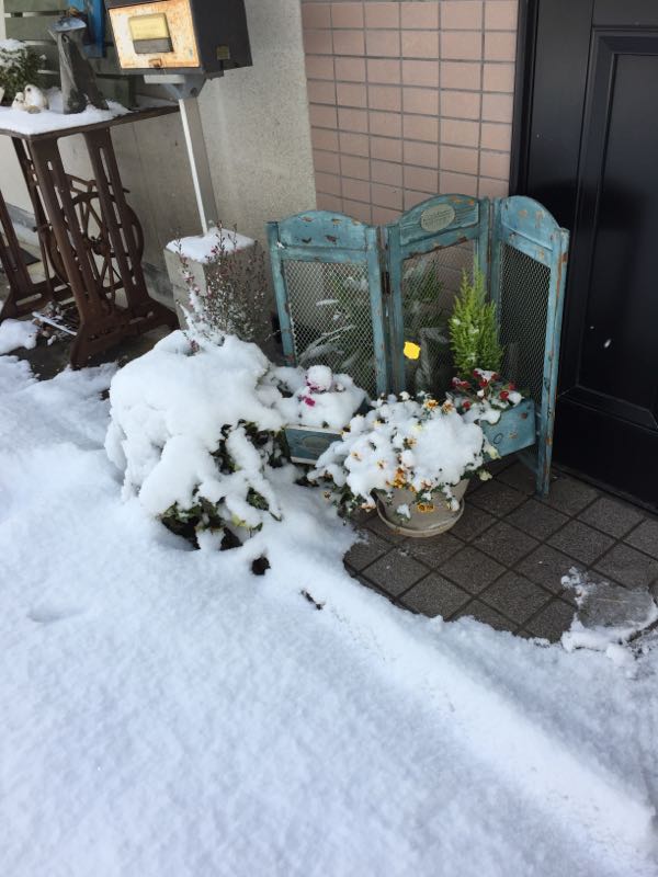 rblog-20170115113927-02.jpg