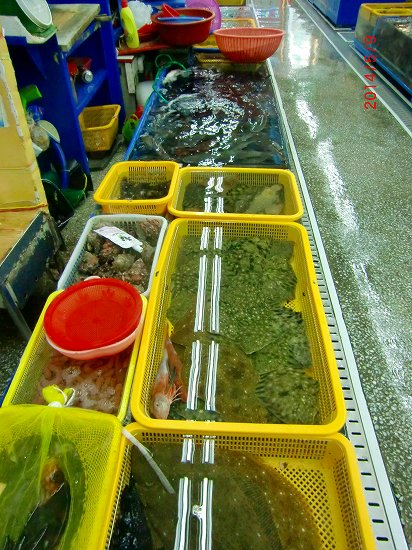 コスタ、ビクトリアでクルーズ 169.jpg