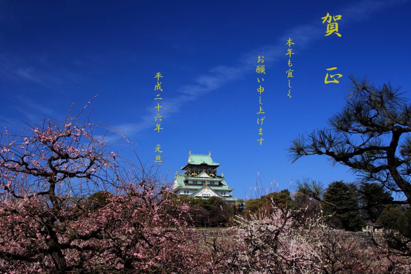 ２０１４年年賀状.jpg