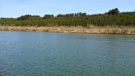 DSC_0011.jpg