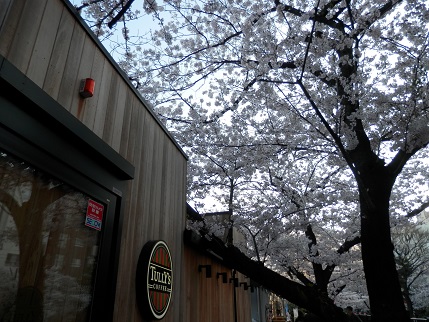 タリーズコーヒー 隅田公園店 (浅草/カフェ)その2