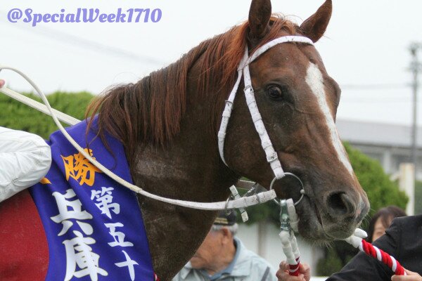 raijin0505-kaki02 (600x400).jpg