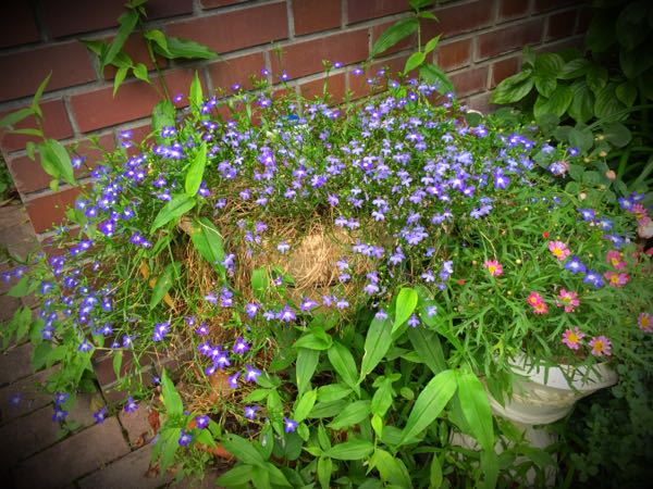 rblog-20160630184304-01.jpg