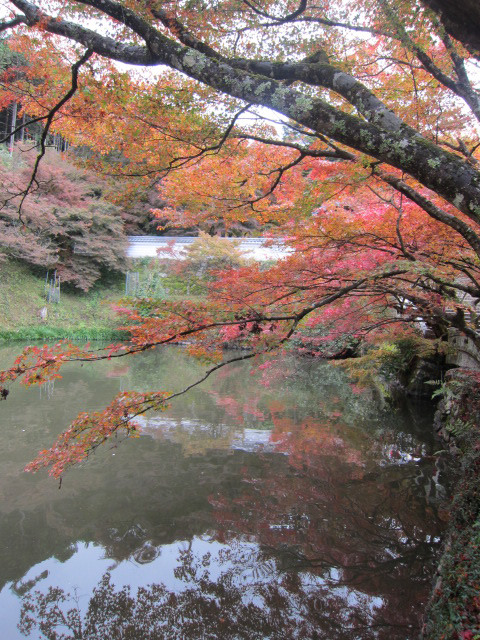 円通寺