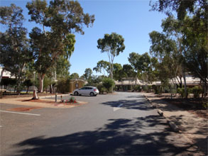 OZ725.jpg