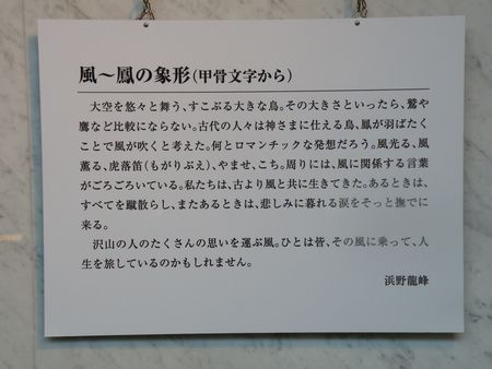 DSCF8289-450.jpg