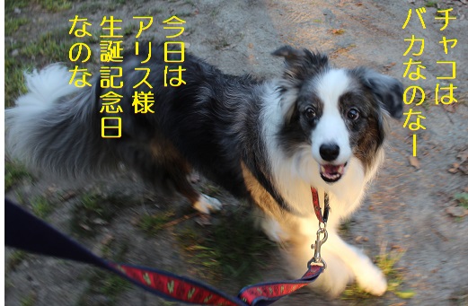 生誕