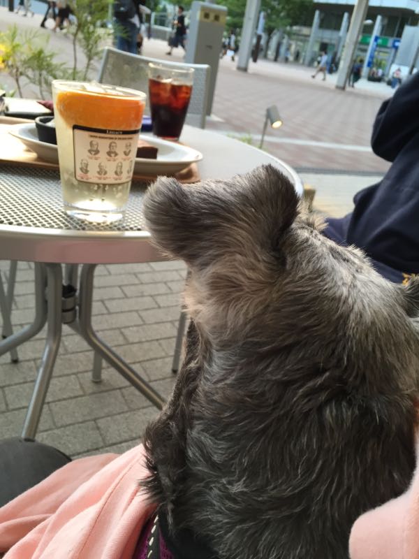 rblog-20160522014612-08.jpg