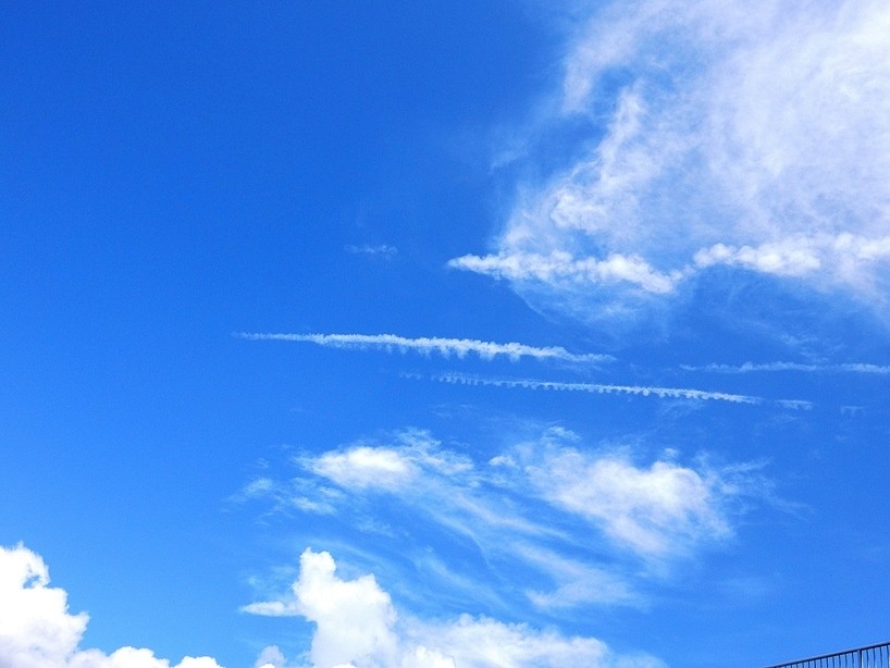 空6.JPG