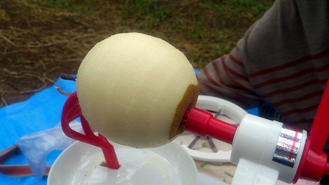2012_09_03_10_18_25.jpg