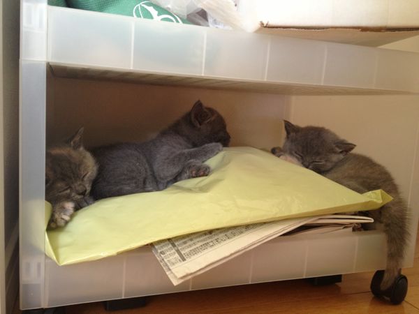 rblog-20140920153749-01.jpg