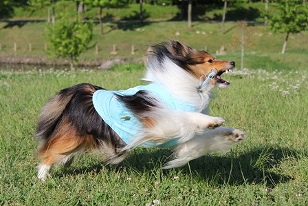 IMG_9828.jpg