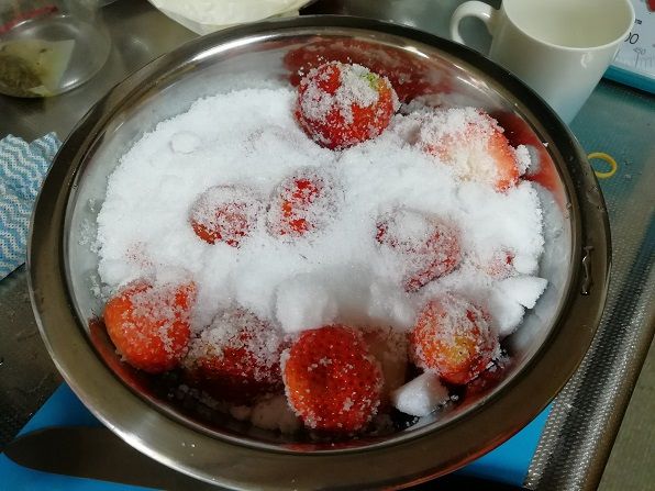 冷凍苺20kg(500g×40袋）佐賀県 ジャムかき氷スムージー+spbgp44.ru