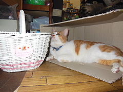 conv0536.JPG