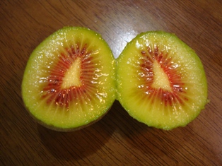 20121206 red kiwi 3.jpg