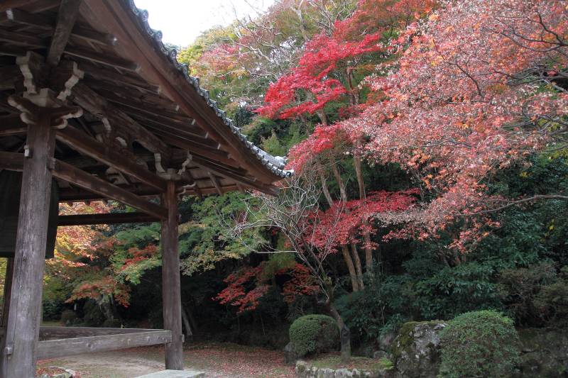 勝持寺_008鐘楼.jpg