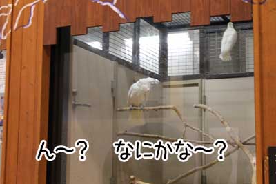 夜１５.JPG