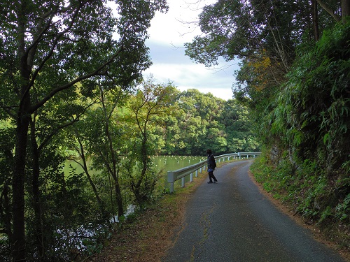 2014_1210_123526-IMGP3456.JPG