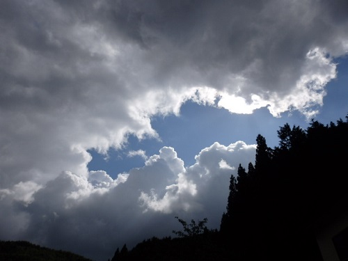 P8300002.JPG