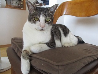IMG_4597ss.jpg