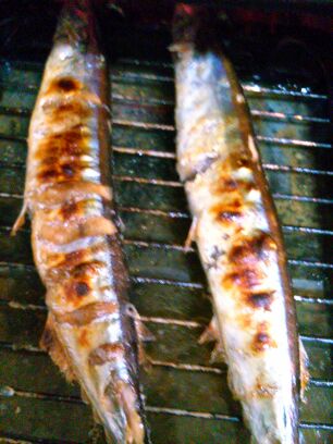 rblog-20141024192013-01.jpg