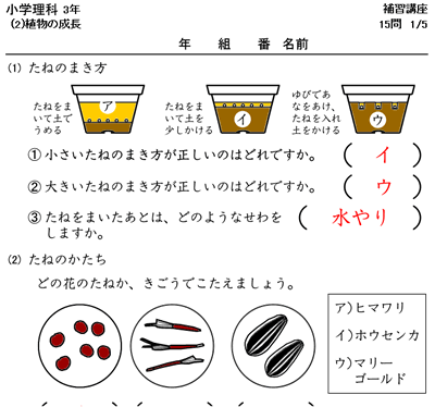 2ページ目の 幼稚園 塾の先生が作った本当に欲しいプリント 楽天ブログ