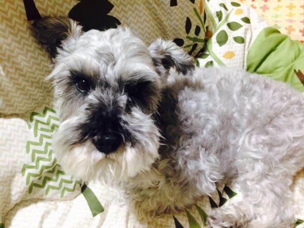 rblog-20151105213943-05.jpg