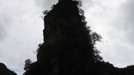 IMG_4373.JPG
