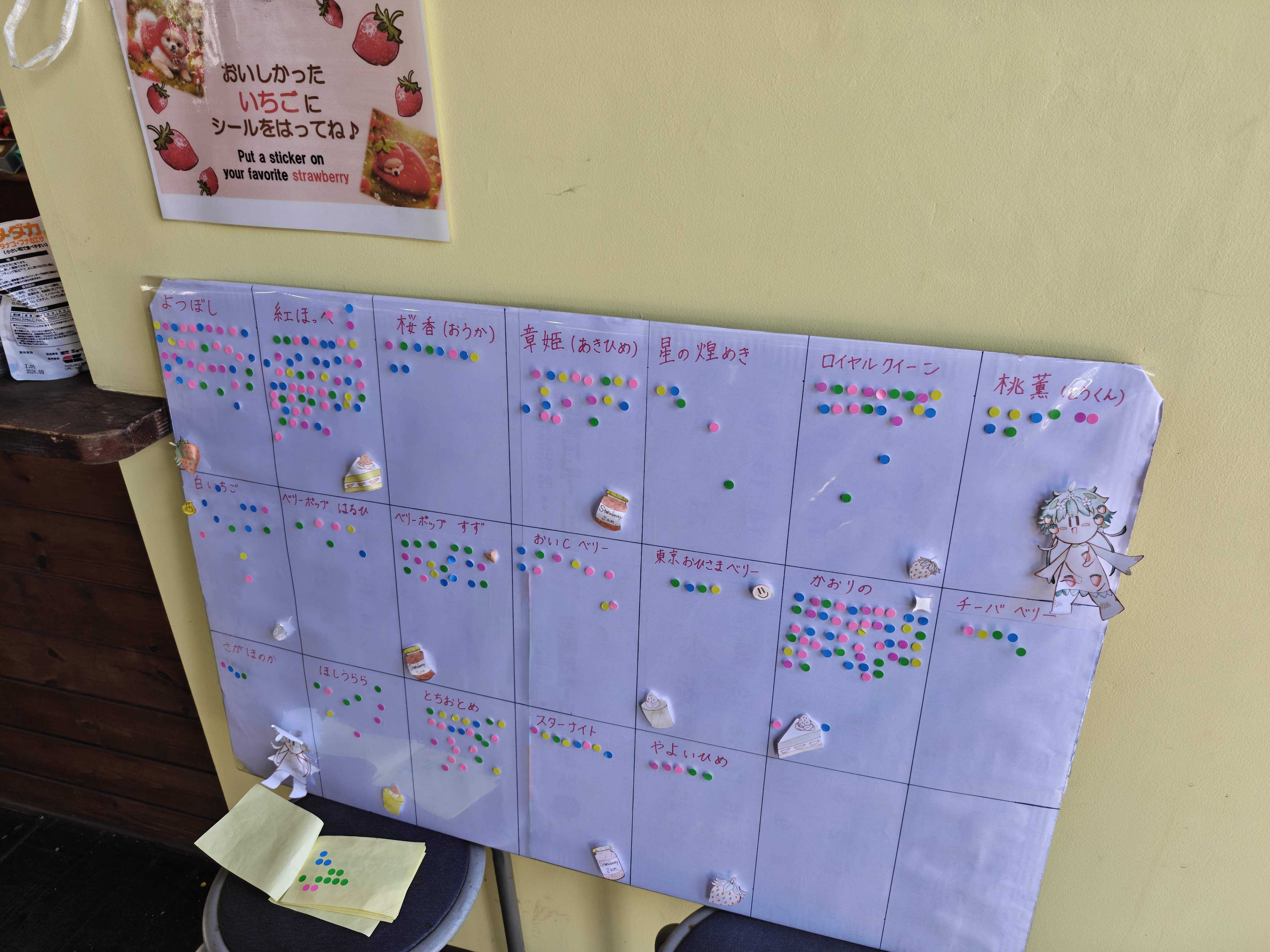 千葉市　ドラゴンファーム　子供といちご狩り　品種人気ランキング