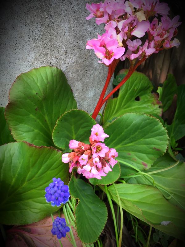 rblog-20160330184331-03.jpg