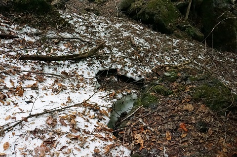 DSC06764.JPG