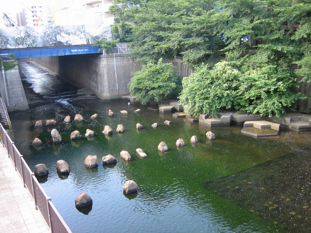整備された目黒川