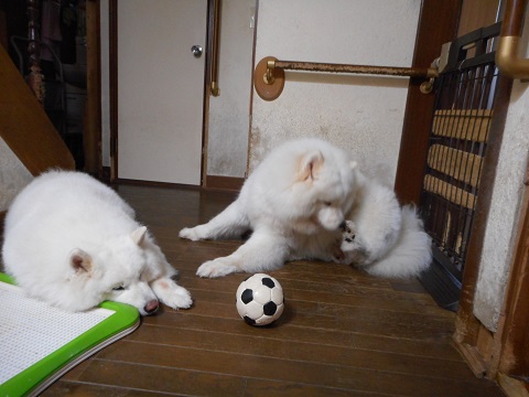 DSCN0390.JPG