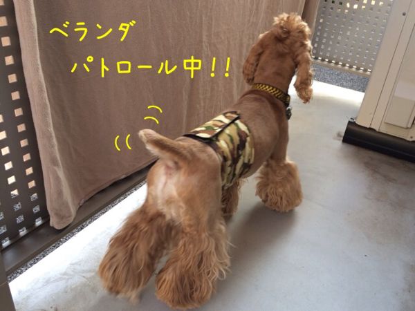 rblog-20141122163223-00.jpg