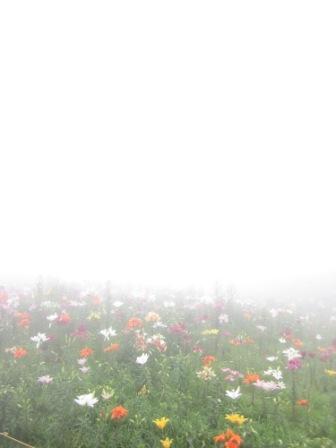 IMG_1985.JPG