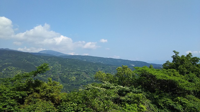 DSC_0818.jpg