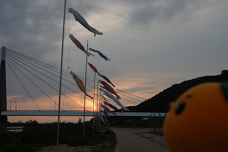 s-DSC_0349.jpg