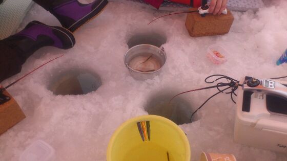 IMG_201301277462.jpg