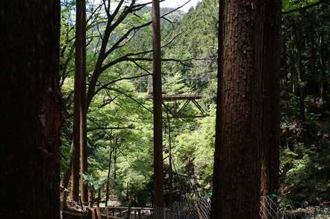 DSC03528.JPG