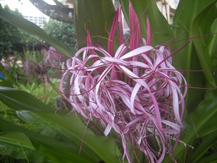 DSCN1550.JPG