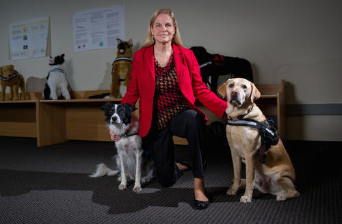 Facilitating Interactions for Dogs with Occupations