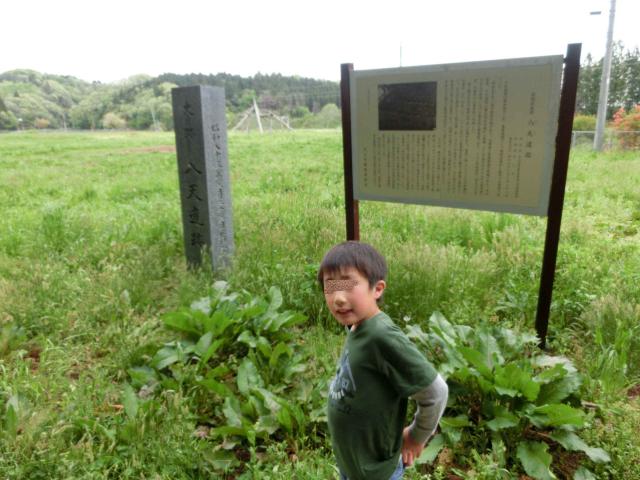 Cimg0443.jpg