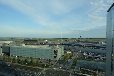 DSC01226rtw.jpg
