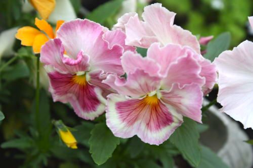 20150516-2-04.jpg