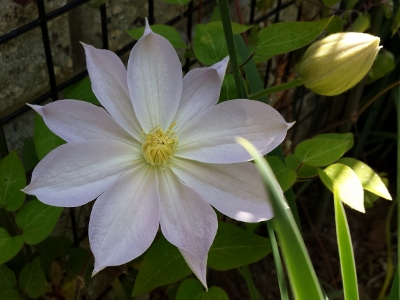 20160513_105832 (400x300).jpg