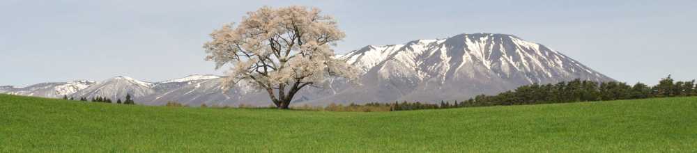 旅とメシと鉄道と酒と温泉と…あと何だ？？