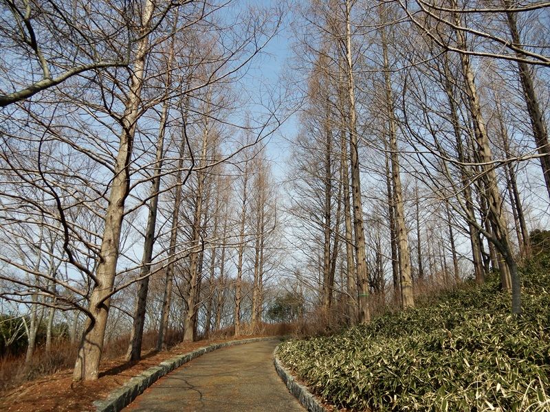 多目的広場へ2