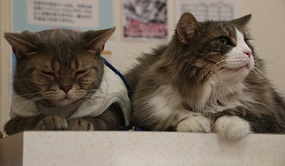 IMG_4061-29.jpg