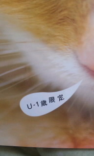 anan3.jpg