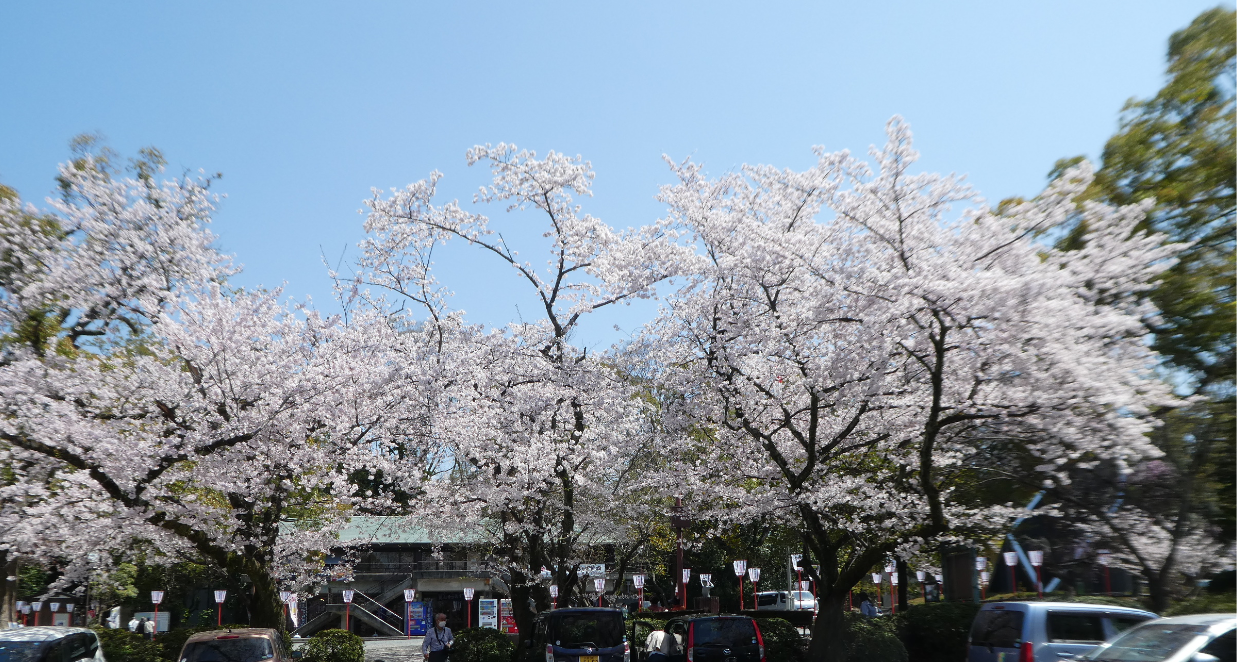 4 8 石清水八幡宮とランチ わかくさ日記 楽天ブログ